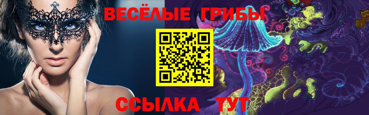 Псилоцибиновые грибы GOLDEN TEACHER Куйбышев